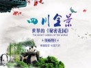 【特价】-九寨黄龙、峨眉乐山、都江堰青城山八日游