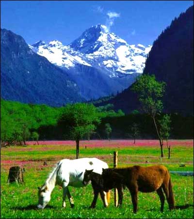 四姑娘山