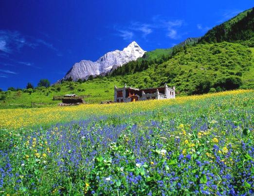 四姑娘山