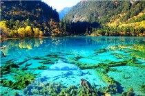 九寨沟旅游全面攻略，成都到九寨沟旅游多少钱