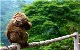 峨眉山20.jpg