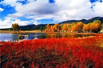 稻城亚丁旅游攻略，稻城亚丁报团旅游线路推荐