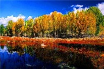 丹巴梨花最佳观赏时间
